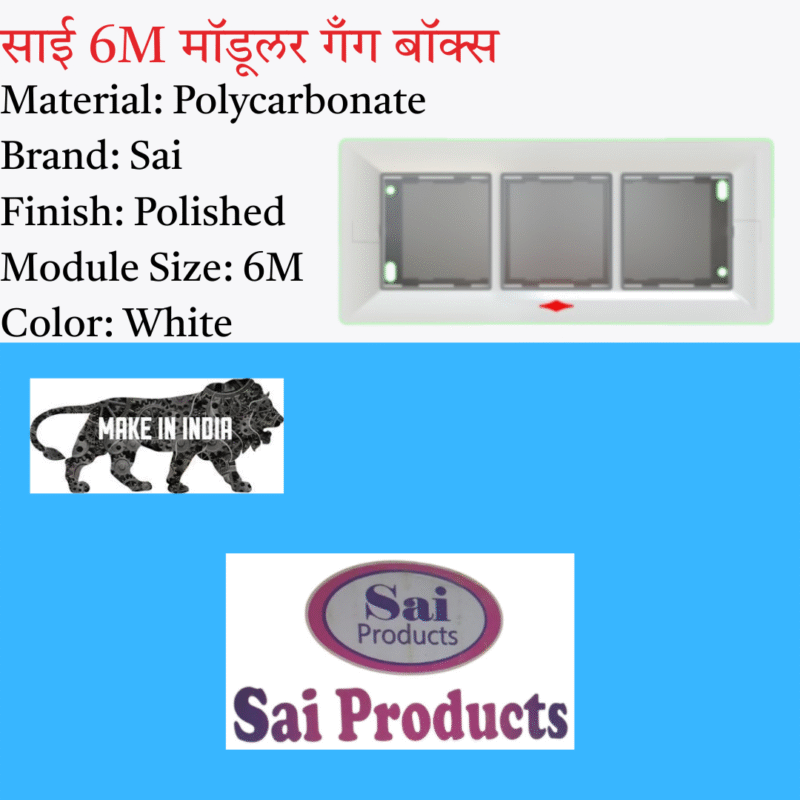 Sai Silver 6M Gang Box