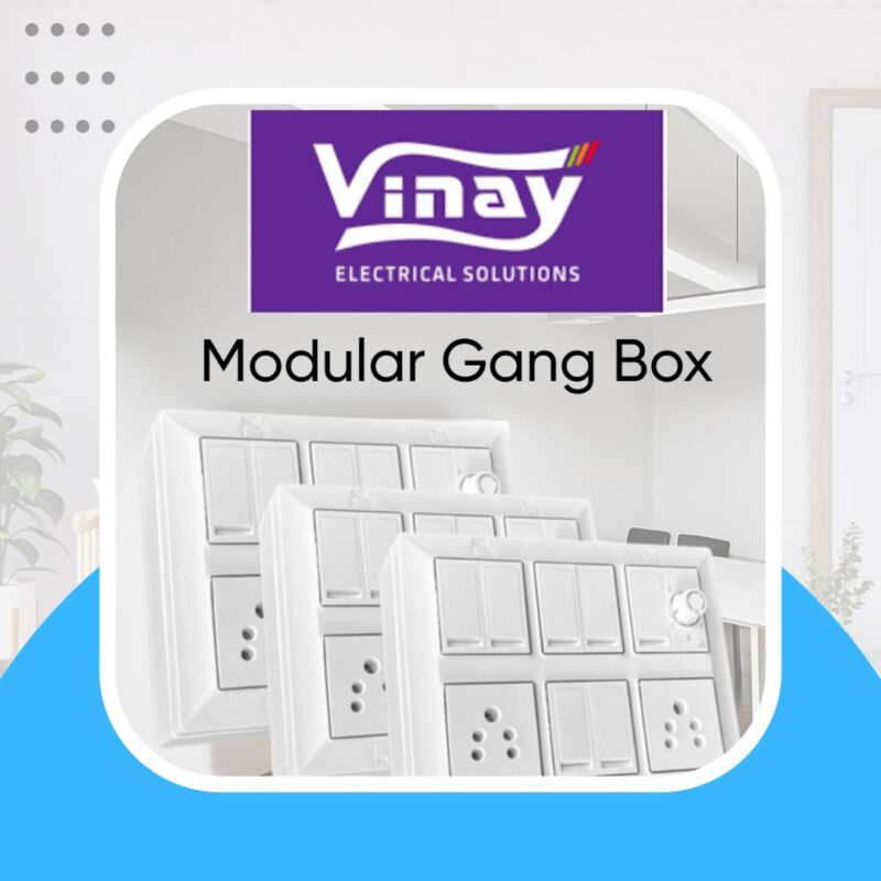 Vinay Gang Box